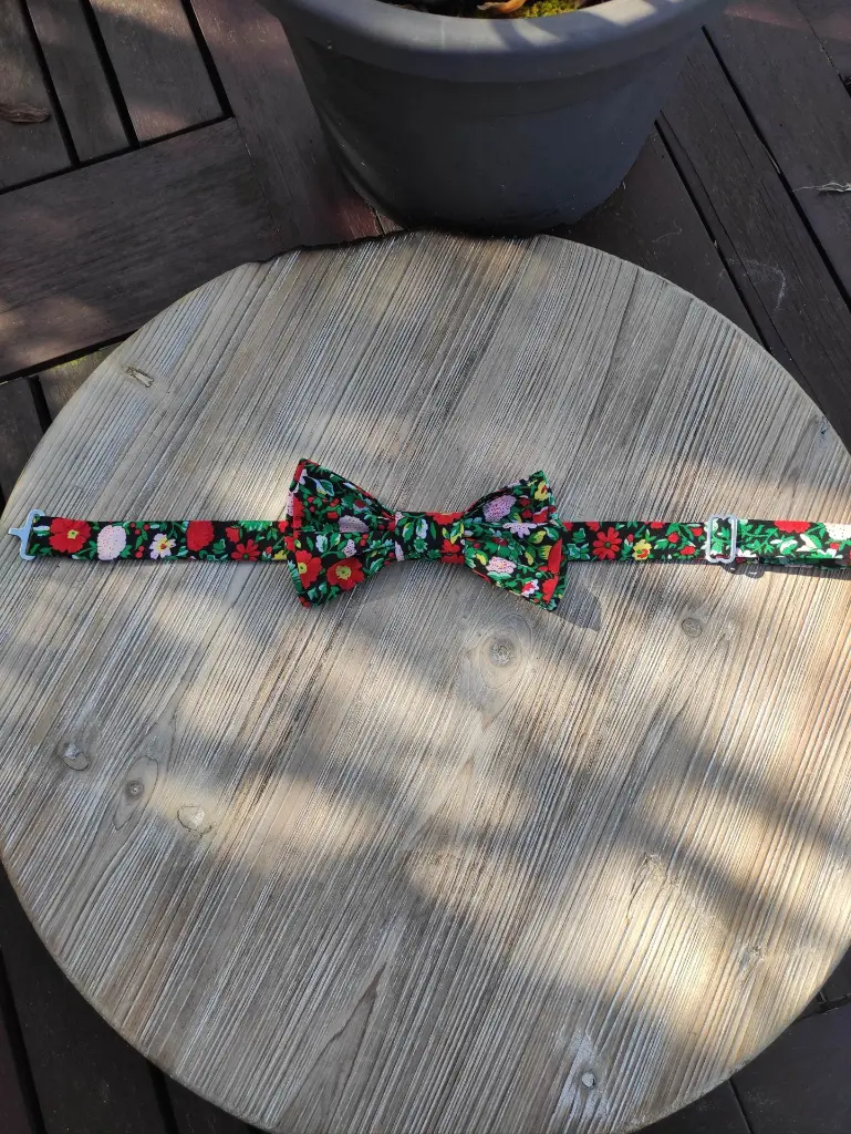 IMG_20250306_155209.webp