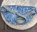 IMG_20250317_185535.webp